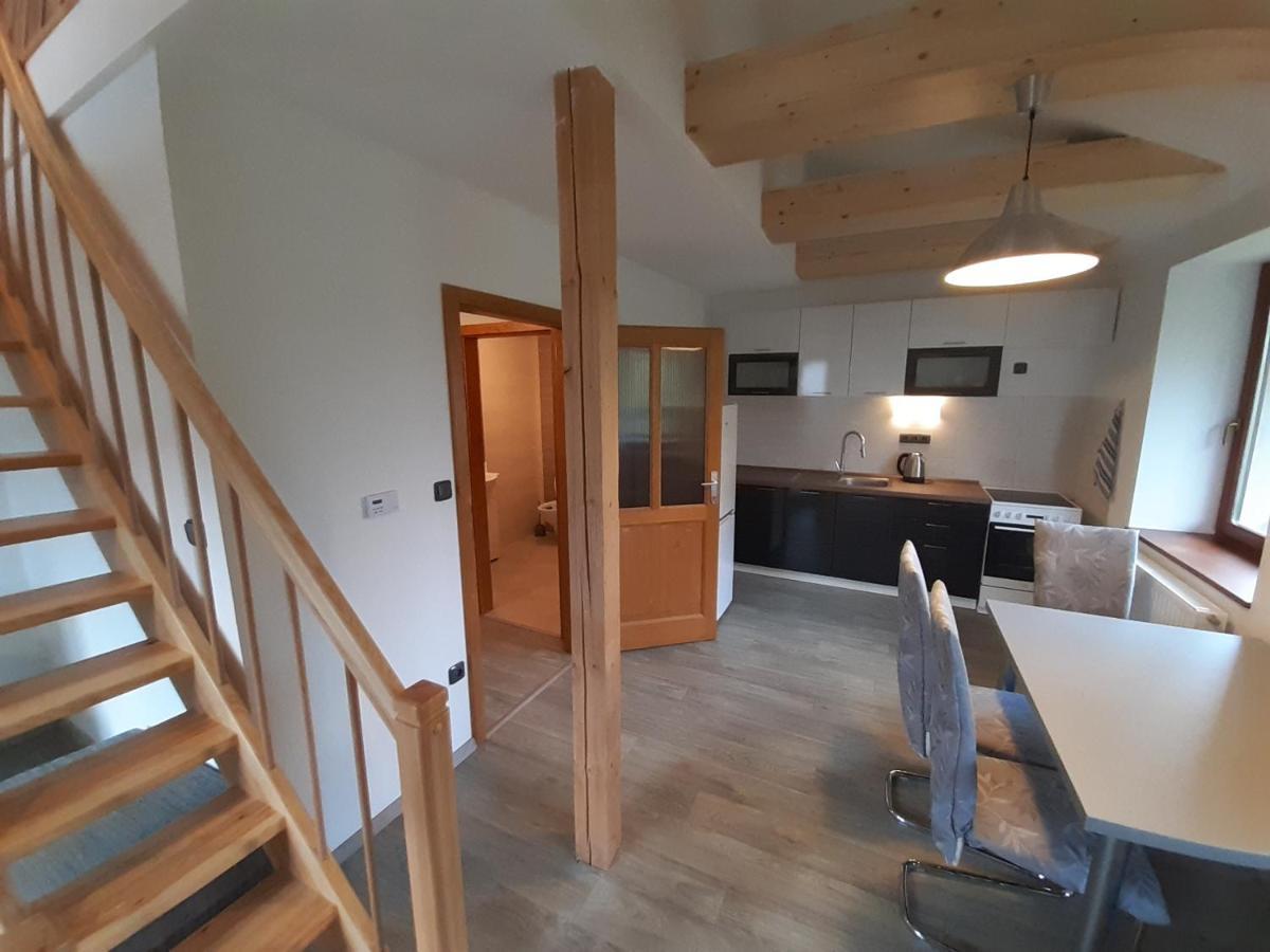 Nad Rybnikem - Zapad Apartment