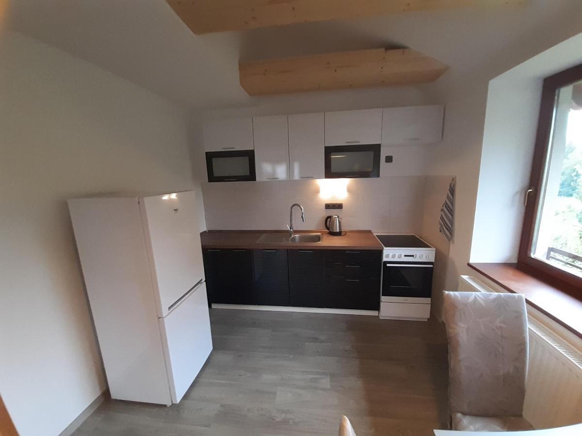 Nad Rybnikem - Zapad Apartment *